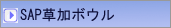 SAP�����{�E���X
